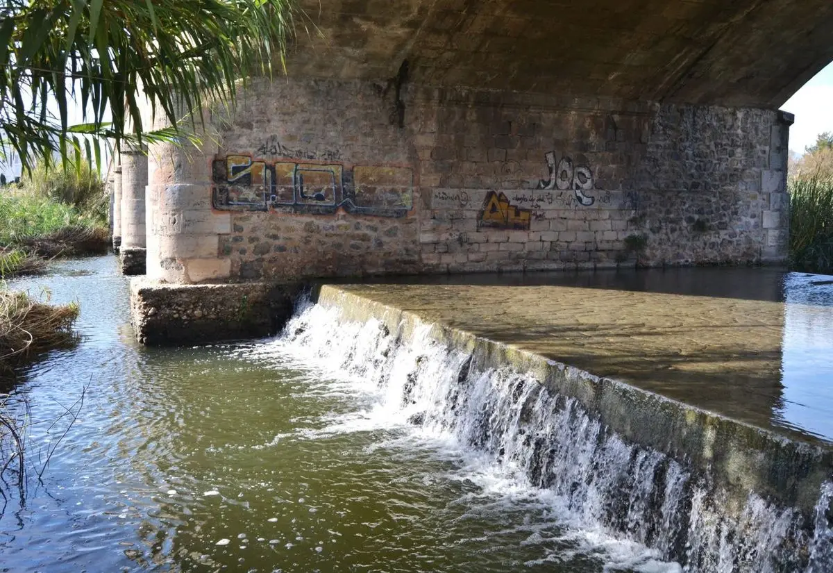 Un azud bajo que cruza el río bajo el arco de un puente de mampostería; el agua rebosa por la coronación, a la izquierda cañas