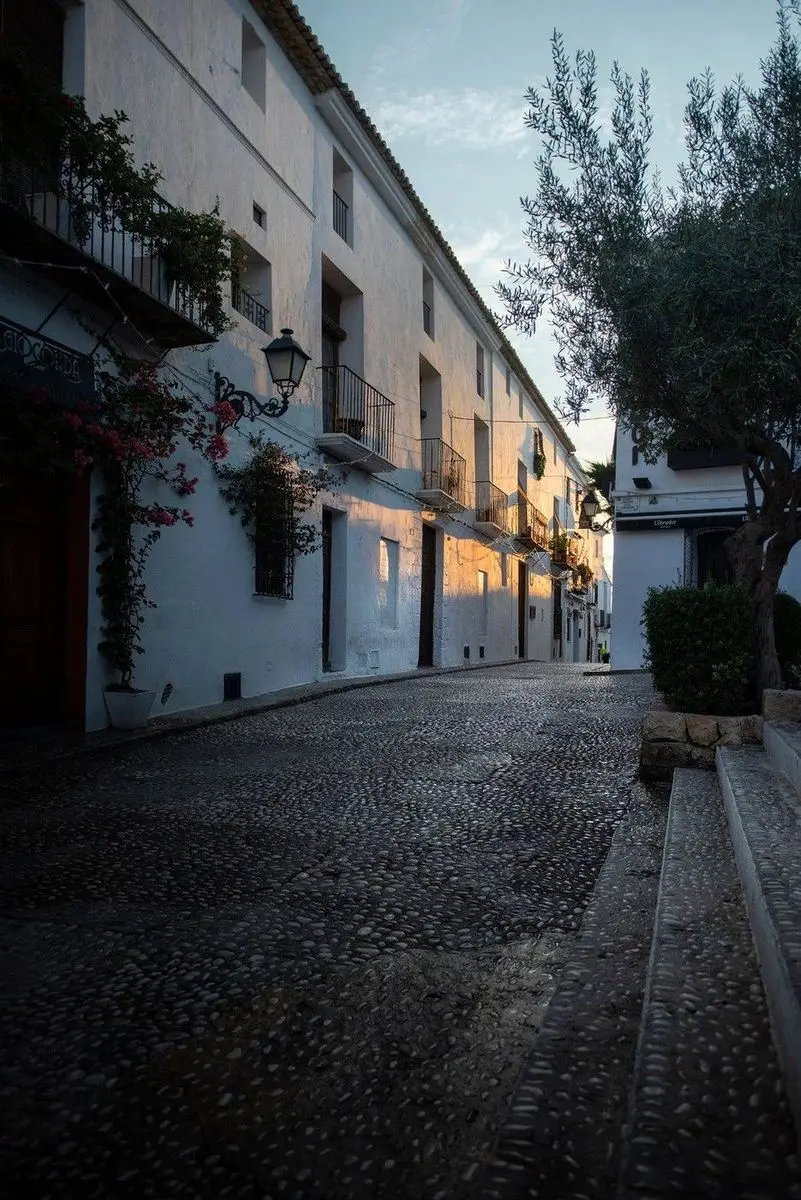 La calle Salamanca con la primera luz: empedrado hasta el borde de la imagen, casas blancas con balcones, buganvilla y un olivo a la derecha