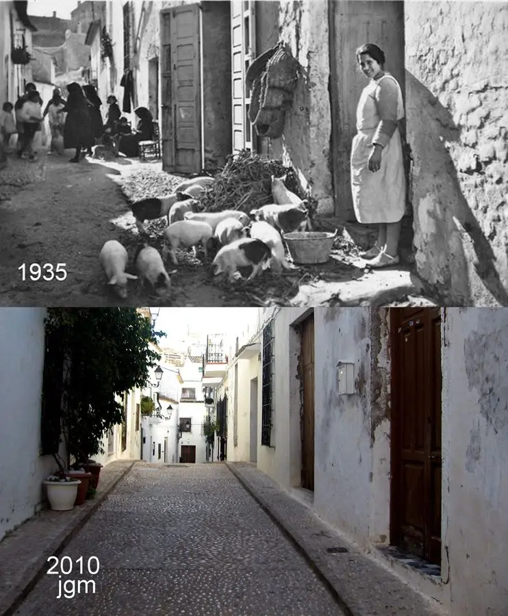 1935 · 2010 — Cerdos en la calle
