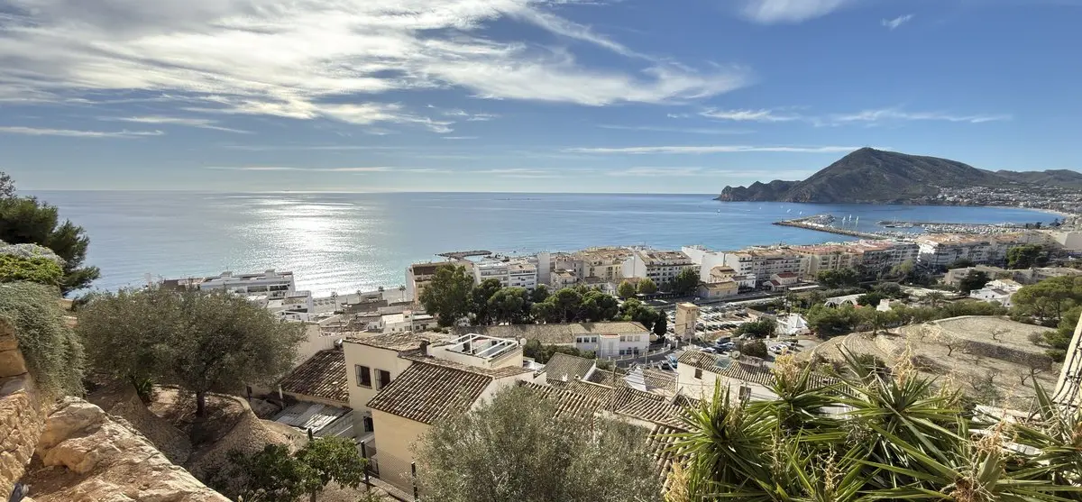 Vista desde una ladera rocosa con olivos y plantas de hojas puntiagudas sobre tejados y bloques de viviendas hasta el puerto; el mar brilla a contraluz y a la derecha se alza la Serra Gelada.