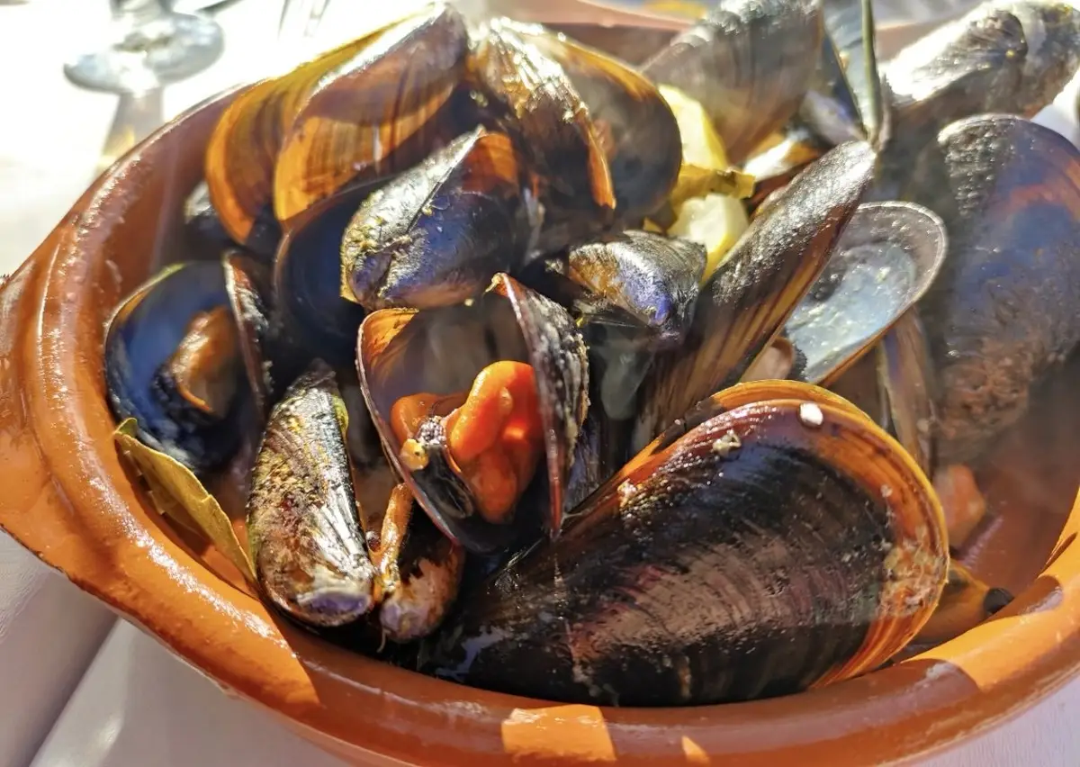Una cazuela de barro llena de mejillones al vapor de concha oscura y brillante, algunos abiertos con la carne anaranjada; entre ellos, trozos de limón y una hoja de laurel, a pleno sol.