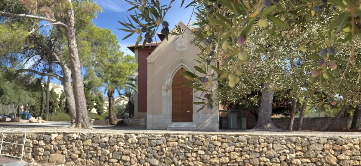 Ramas de olivo cargadas de aceitunas verdes y moradas; detrás, algo desenfocada, una capilla clara con puerta ojival sobre un muro de piedra seca.