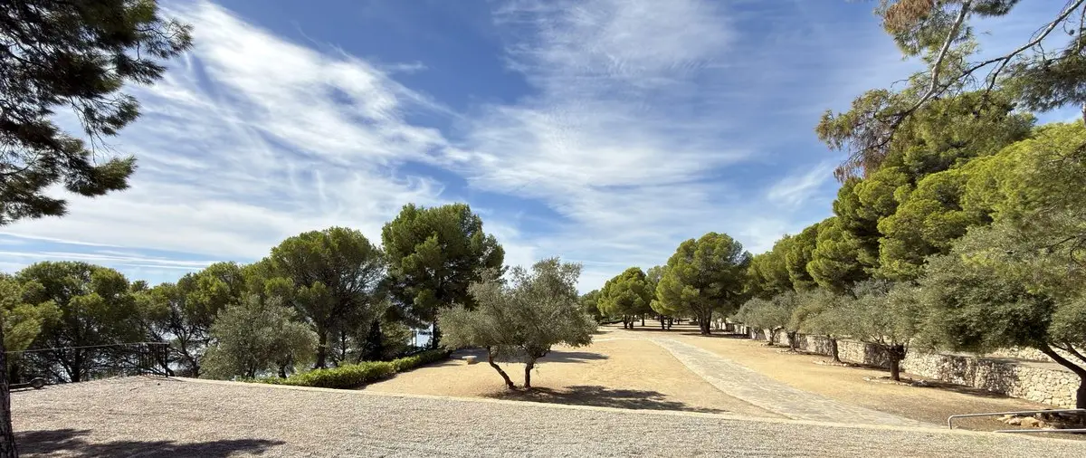 Una amplia explanada de grava bajo un cielo azul con nubes altas; detrás, un camino ancho entre olivos y pinos altos, a la derecha un muro bajo de piedra seca y, delante, la sombra de un árbol.